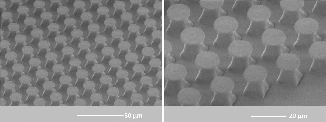 PDMS mushroom-capped micropillars for dry adhesion