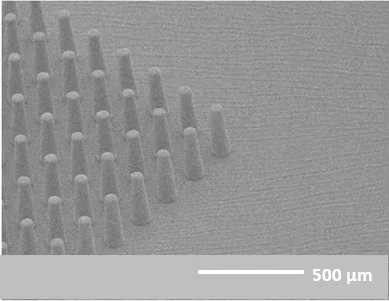 Scanning electron micrograph of a regular array of tapered SU-8 microneedles on a flexible backing