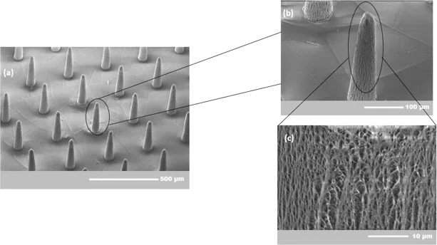 SU-8 needles after oxygen plasma, with nanoscale roughness visible at higher magnification